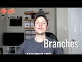 Beginner Git and GitHub - Branches