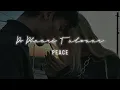 Download Lagu Do Dhaari Talvaar (Slowed+Reverb) // Peace