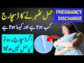 Pregnancy Discharge Early Pregnancy Symptoms White Discharge Before Periods is Implantation sign