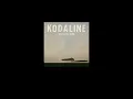 【和訳】Kodaline - Vultures