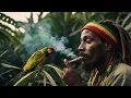 Download Lagu No Ganja Today (Reggae)