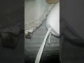 WALGREENS HEATING PADS IN BED