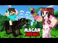 Download Lagu 24 JAM BOCIL BERBURU DI HUTAN DEMI MENANGKAP BLACK PHANTER