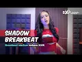 Lagu SHADOW BREAKBEAT 2025 | NOSTALGIA STADIUM | DJ EMUUR