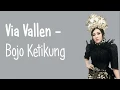 Download Lagu Via Vallen - Bojo Ketikung (Lirik Video)