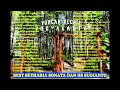 Lagu Best Betharia Sonata   Iis Sugianto