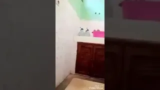 روتين بديعة 