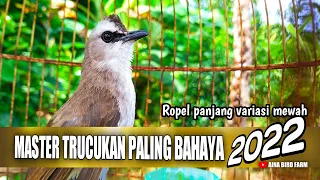 masteran trucukan ropel panjang variasi mewah