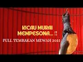 SUARA MURAI FULL TEMBAKAN MEWAH 2025
