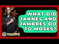 Download Lagu What Did Jannes And Jambres Do To Moses? - BibleMadeClear.com
