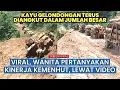 Lagu Wanita ini Pertanyakan Kinerja Kemenhut soal Tumpukan Kayu Besar yang Terus Diangkut