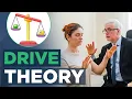 What is Drive Theory