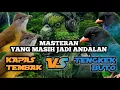 Download Lagu MASTERAN CUCAK IJO ANDALAN SANG JUARA #cucakijogacor #cucakijo #cucakijoisiankasar #burung