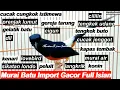 Download Lagu Murai Batu Gacor ~  Full Isian Untuk Pancingan Masteran Murai Trotol  Tembak Beset Roll Kasar Tajam