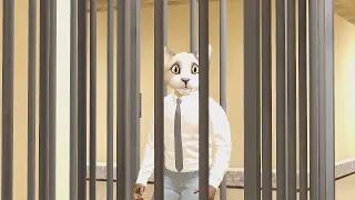 Bow Wow Dog 23