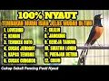 Download Lagu MASTERAN MURAI BATU FULL TEMBAKAN TERBAIK SEPANJANG MASA ISIAN JELAS MUDAH DI TIRU