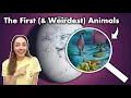 Download Lagu Did Snowball Earth Force Animal Evolution? \u0026 What Were The First Animals? GEO GIRL