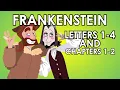 Frankenstein Summary - Letters 1-4 and Chapters 1-2