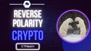 CTFlearn Reverse Polarity