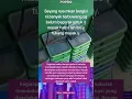Download Lagu Makan bergizi gratis basi