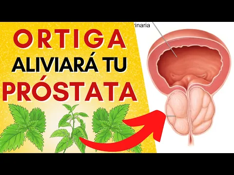 Download MP3 10 BENEFICIOS INCREÍBLES DE LA ORTIGA 🌿 Alivia la PRÓSTATA INFLAMADA