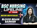 Blood Brain Barrier Bsc Nursing 1st year Nursing LifeLine Series