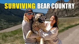 We SAW A GRIZZLY BEAR! | Sailing Sunday Vlog – 261