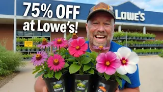 Lowes Practically Gave Me These Clearance Plants