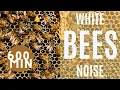 Download Lagu 600 Minutes l White ''Bees'' Noise l reduce stress and anxiety l with Blackscreen