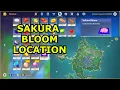 All Sakura Bloom Location + Map  - Genshin Impact