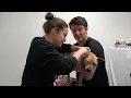 Pets In Crisis Program at the Atlanta Humane Society