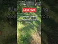 Download Lagu Love fact about men #relationship #tiktok #goals #advice #love #songs #women #facts #shorts #like