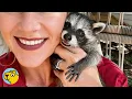 Baby Raccoon Raised With Kids Thinks She s One of Them