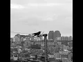 Type shit Freestyle (feat. enjoyboy) - Kangwon