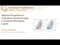 AFMS Webinar 2020 - Dr Woutijn Baars Delft University of Technology