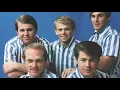 Do It Again - The Beach Boys (with lyrics)
