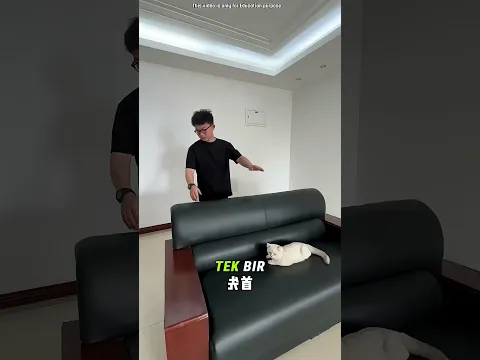 😱🦍 Rohan Kendi Goril Yatağını Yaptı… Ama Sonunda Gerçek Goril Geldi! #shorts #viralvideo #trending