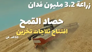 تصوير درون شاهد حصاد القمح بعد زراعة 3 2 مليون فدان وافتتاح ثلاجات التخزين سعة 60 ألف طن 