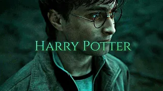 HARRY POTTER The Chosen One
