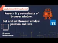 Get set browser window position size using webdriverIO