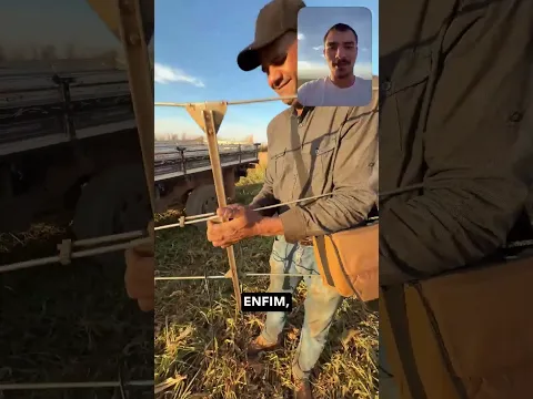 Tem uma onça-pintada escondida ali na frente, e a gente consegue “ouvir” onde ela está. 🐆📡