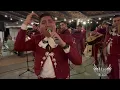 Te Solté la Rienda - Mariachi Alas De Mexico