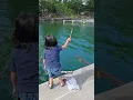 Download Lagu Ketika Ara Sedih Liat Dedek Duluan Dapat Ikan Mancing Di Danau Batur. Aku Gak Dapet-Dapet Ikan Pa 🥺🎣