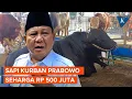 Download Lagu Bertemu Douglas, Sapi Kurban Prabowo Seharga Rp 500 Juta