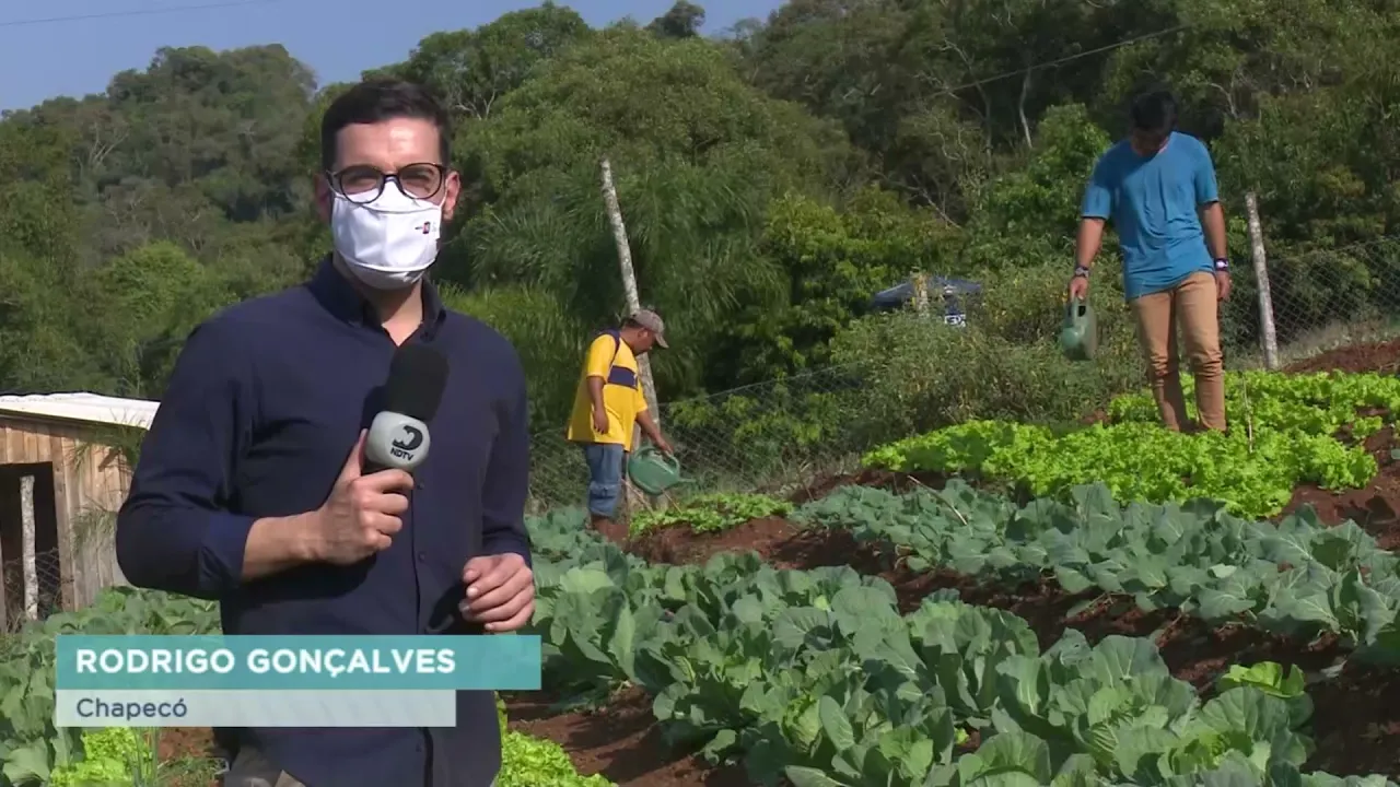 Chapecó: Projeto cultiva hortas comunitárias em terras indígenas