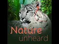 Download Lagu Introducing Nature Unheard
