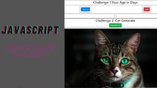 Javascript Age In Days Project Javascript HTML CSS