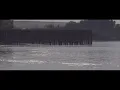 [Vietsub + Lyrics] Should Have Known Better - Sufjan Stevens