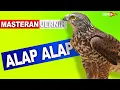 Lagu ALAP ALAP - MASTERAN BURUNG JERNING
