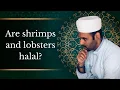 Are shrimps halal fiqh bites